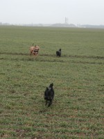 /album/fotogalerie-2013/brezen-2013-4-jpg/